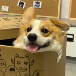 ZCZ-ZhouCaizheBlog